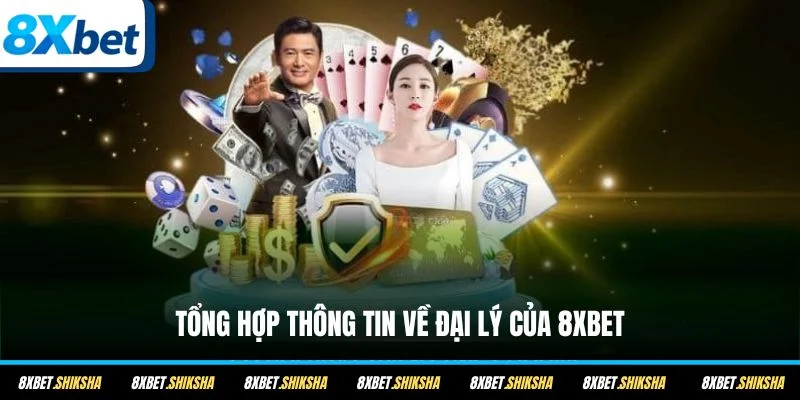 Tổng hợp thông tin về đại lý của 8XBET
