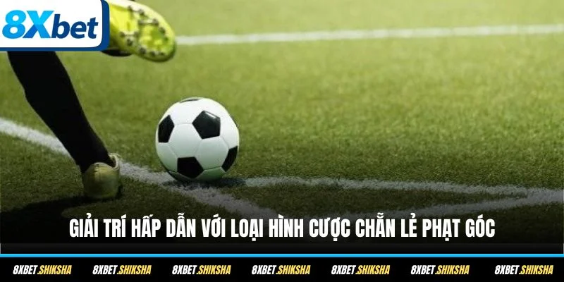 Giải trí hấp dẫn với loại hình cược chẵn lẻ phạt góc